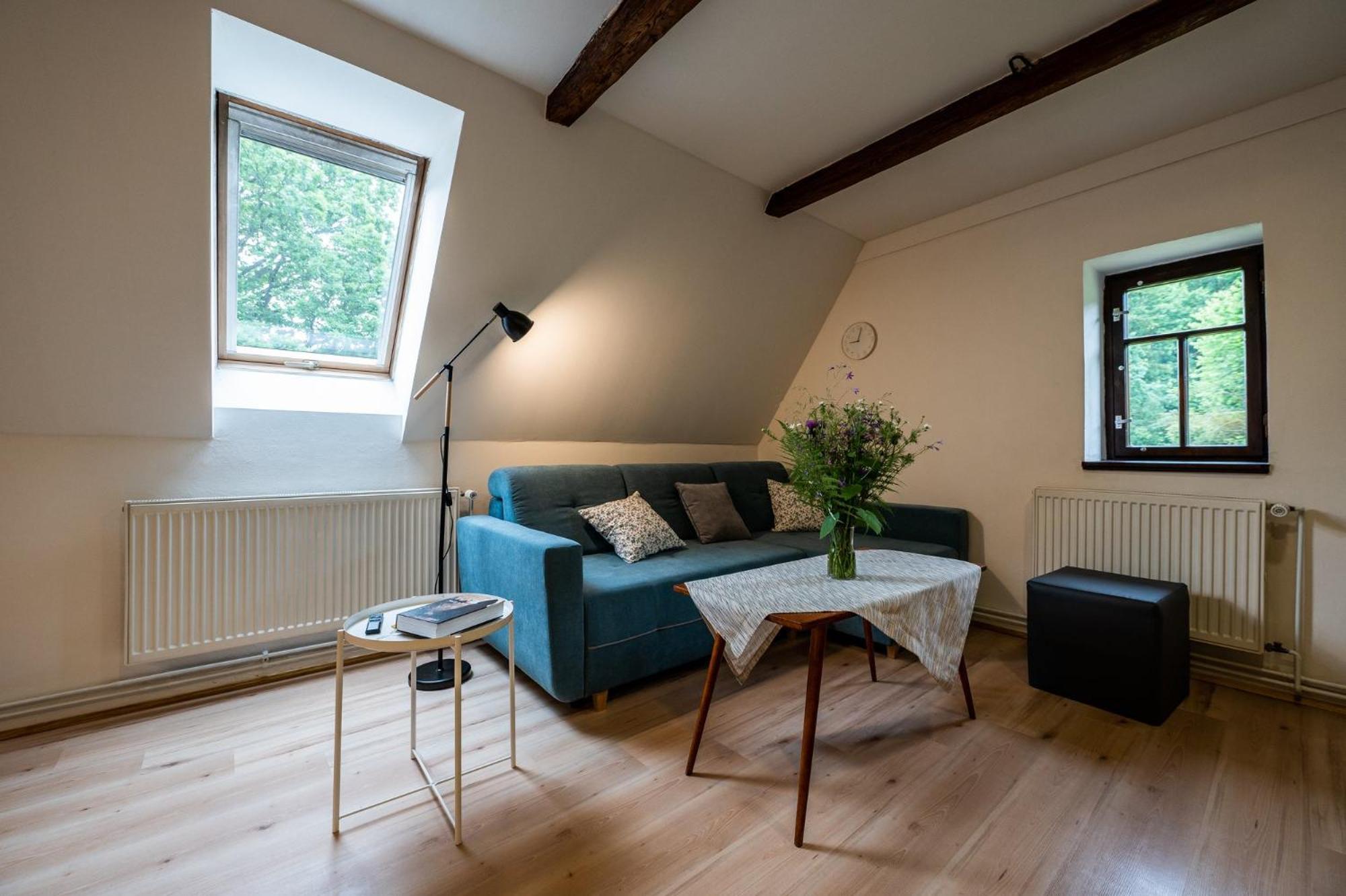 Apartment Pod Hradem *